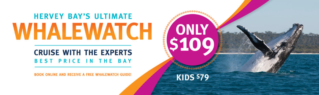 HERVEY BAY's Ultimate WHALE WATCH $109