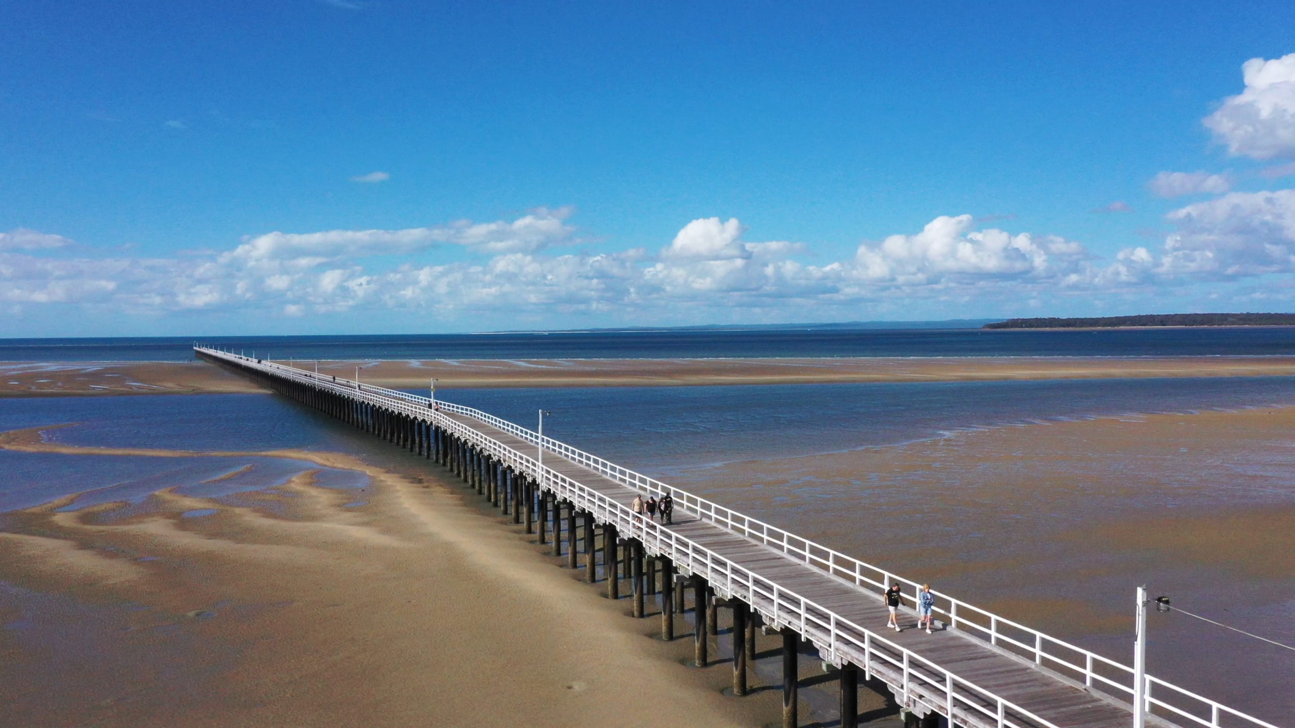 Hervey Bay Nature Cruise Pacific Whale Foundation Eco Adventures