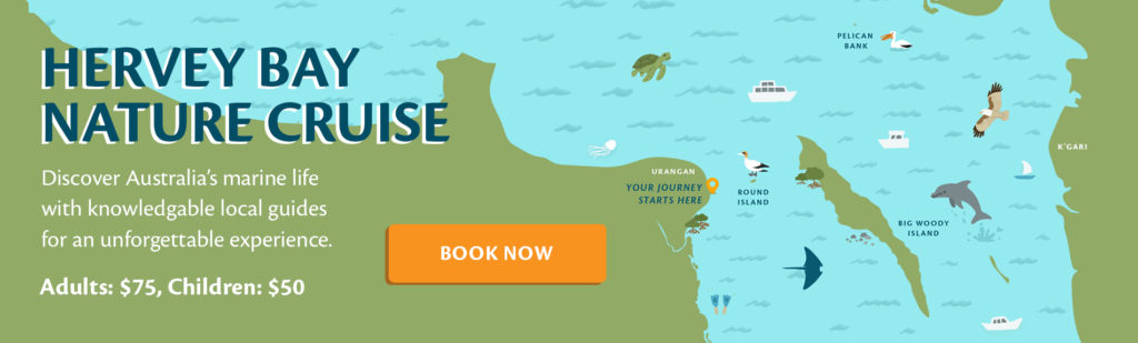 Hervey Bay Nature Cruise and Hervey Bay's Ultimate Whale Watch