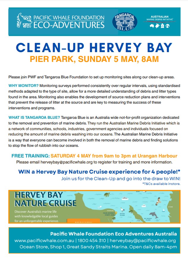 Clean Up Hervey Bay Pacific Whale Foundation Eco Adventures Australia