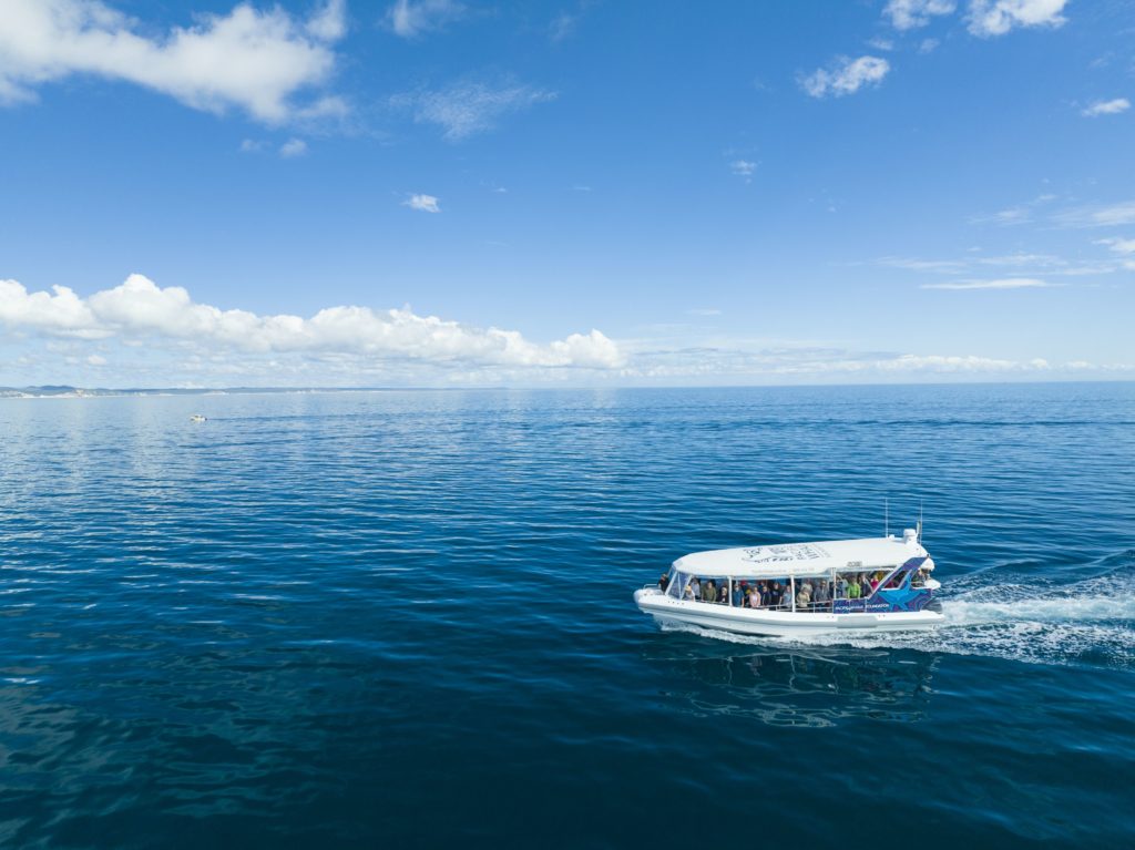 Ocean Defender Hervey Bay Nature Cruise