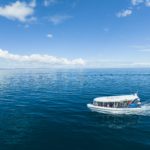 Ocean Defender Hervey Bay Nature Cruise