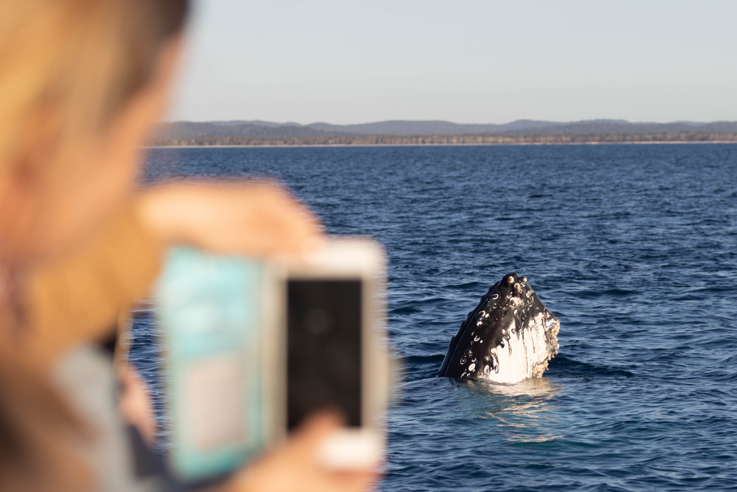 404A6935-scaled